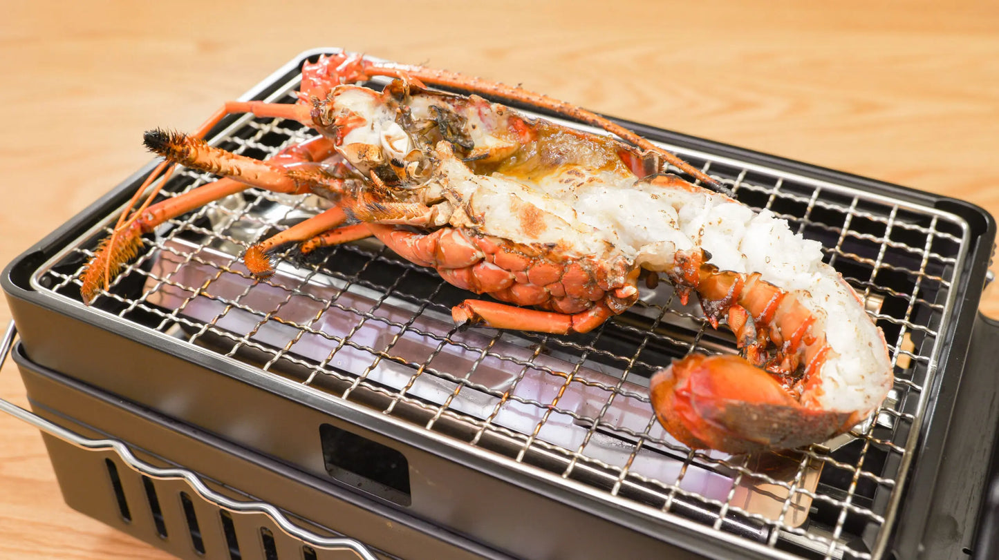 冷凍伊勢海老 2尾セット