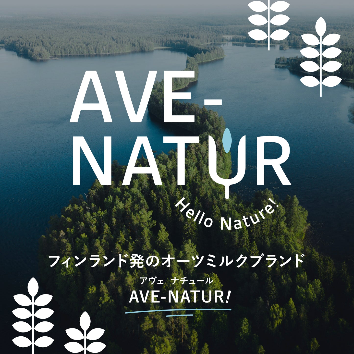 【プロ仕様のオーツミルク】AVE-NATUR (アヴェナチュール)  OAT DRINK Barista 1,000ml×20本セット（砂糖不使用・グルテンフリー・デイリーフリー）